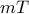 mT