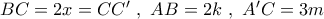 BC = 2x = CC'\,\,,\,\,AB = 2k\,\,,\,\,A'C = 3m