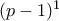 (p-1)^{1}