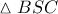 \displaystyle{ 
\vartriangle BSC 
}