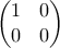\begin{pmatrix} 
1 &0 \\  
 0 & 0 
\end{pmatrix}