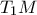T_1M