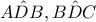 \hat{ADB}, \hat{BDC}