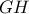 \displaystyle{ 
GH 
}