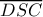 \overline {DSC} 