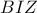 \displaystyle{BIZ}