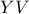 YV
