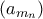 (a_{m_{n}}) 
 
