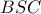 \displaystyle{BSC}