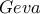\displaystyle{Geva}
