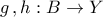 \displaystyle{g\,,h:B\to Y