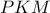 PKM