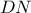 \displaystyle{DN}