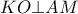 KO \bot AM