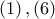\displaystyle{ 
\left( 1 \right),\left( 6 \right) 
}