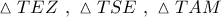 \vartriangle TEZ\,\,,\,\,\vartriangle TSE\,\,,\,\,\vartriangle TAM