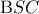 {\rm B}SC