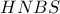 HNBS