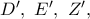 D',\ E',\ Z',