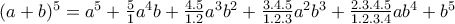 (a+b)^{5}=a^{5}+\frac{5}{1}a^{4}b+\frac{4.5}{1.2}a^{3}b^{2}+\frac{3.4.5}{1.2.3}a^{2}b^{3}+\frac{2.3.4.5}{1.2.3.4}ab^{4}+b^{5}