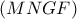 \left( MNGF\right)