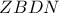 ZBDN