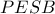 PESB