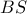 \displaystyle{ 
BS 
}