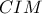 CIM