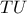 \displaystyle{TU}