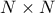 N \times N