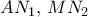 A{N_1},\,M{N_2}