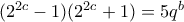 (2^{2c}-1)(2^{2c}+1)=5q^b