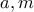 \displaystyle{a,m}