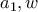 a_1,w