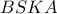 BSKA
