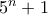 5^n+1