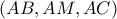 \left( {AB,AM,AC} \right)