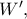 W',