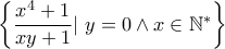 \left\{ \dfrac{x^4+1}{xy+1} |~ y = 0 \wedge x\in\mathbb{N}^* \right\}