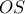  OS