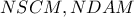 NSCM, NDAM