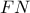 \displaystyle{ 
FN 
}